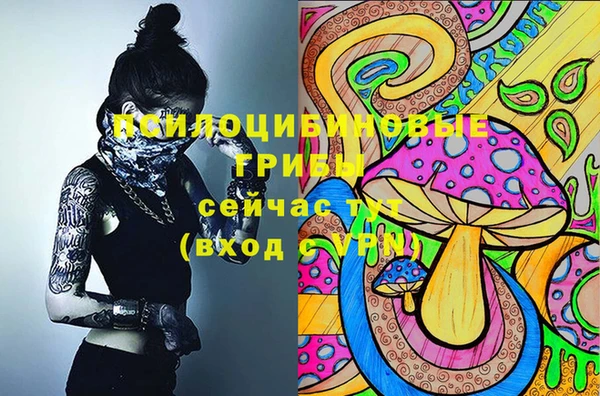 прущая мука Надым