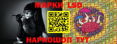 ECSTASY Гай