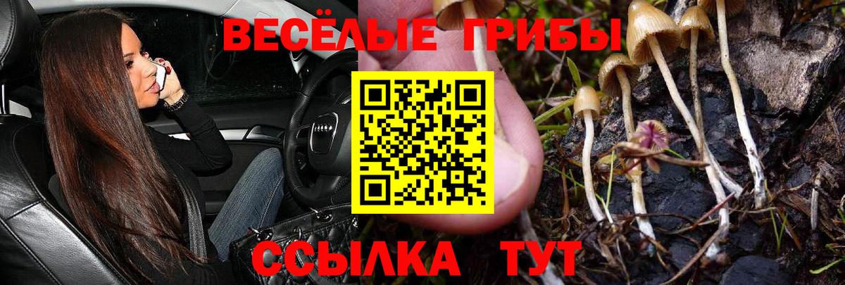 Галлюциногенные грибы MAGIC MUSHROOMS Лиски