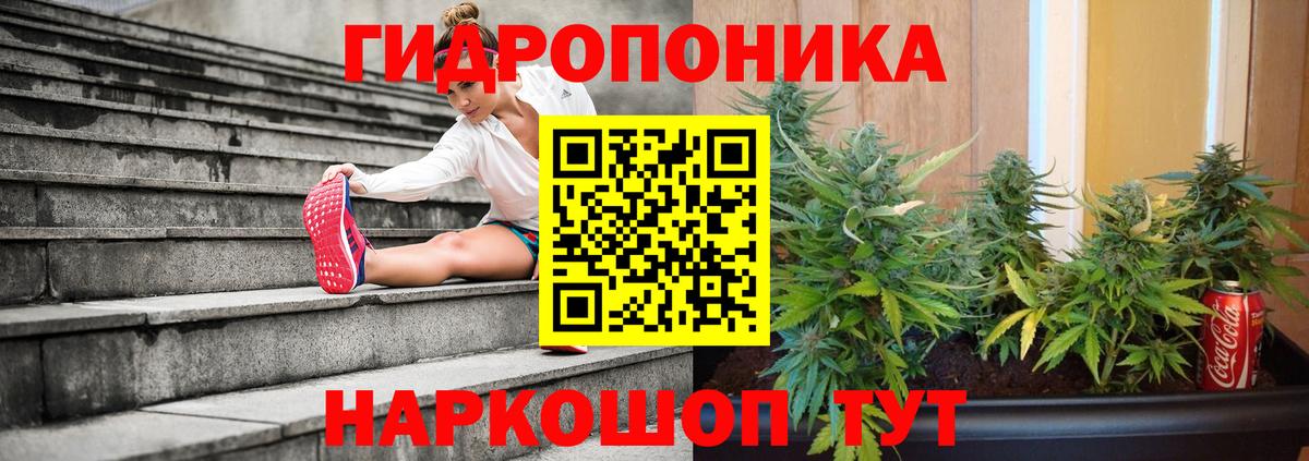 Бошки Шишки семена Лиски